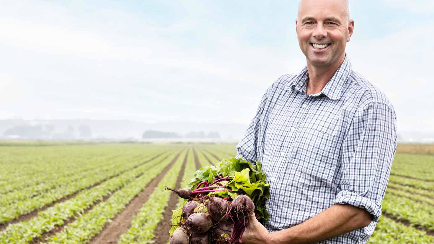 2201_dtile_biodynamisch