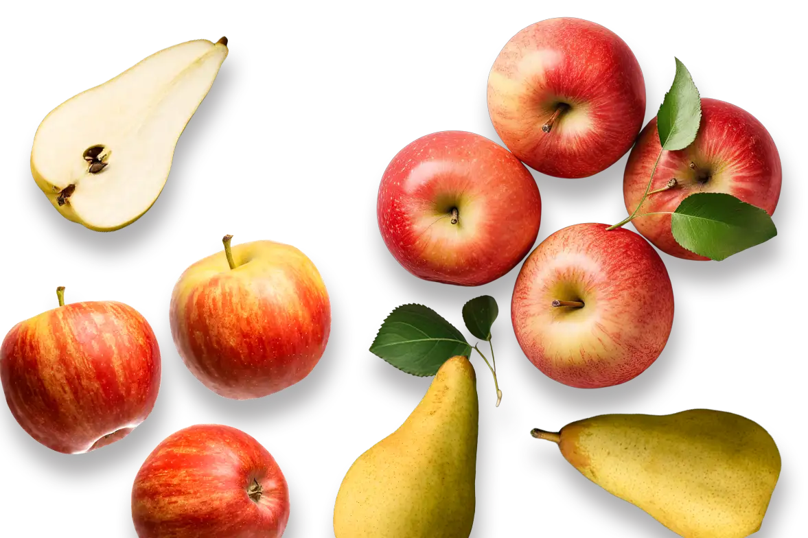 banner_onderin_appels_peren-home