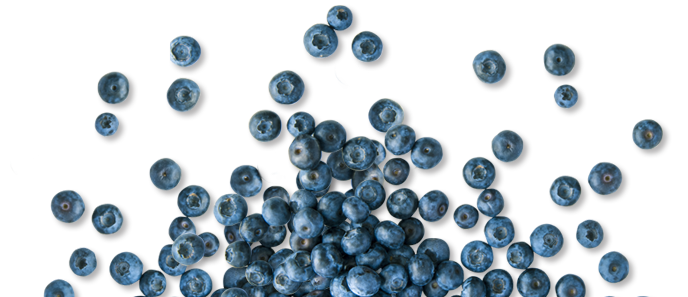 blok_online_blauwe_bessen