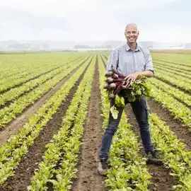 ekoplaza-biodynamisch-andrejurrius-rodebieten