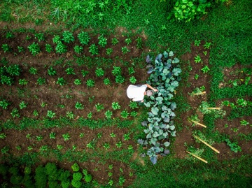 De toekomst ligt onder onze voeten