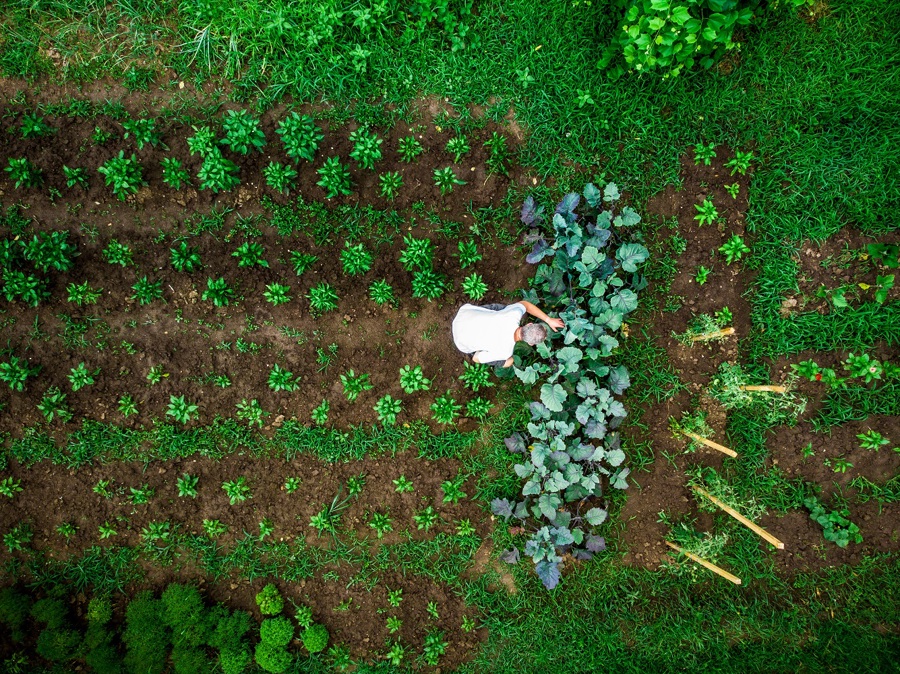 De toekomst ligt onder onze voeten