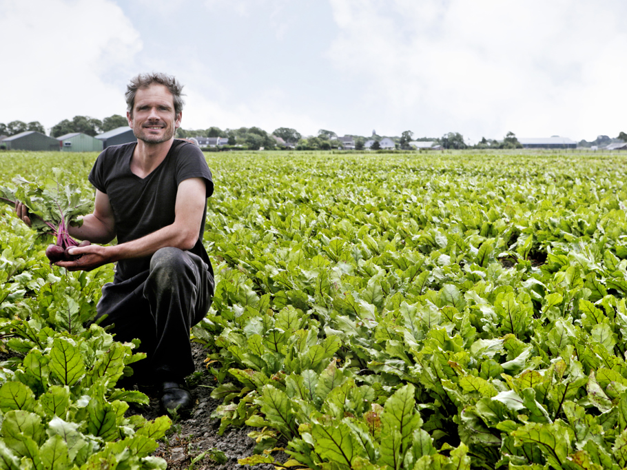 delepelaar-joriskollewijn