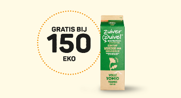 eko-chips