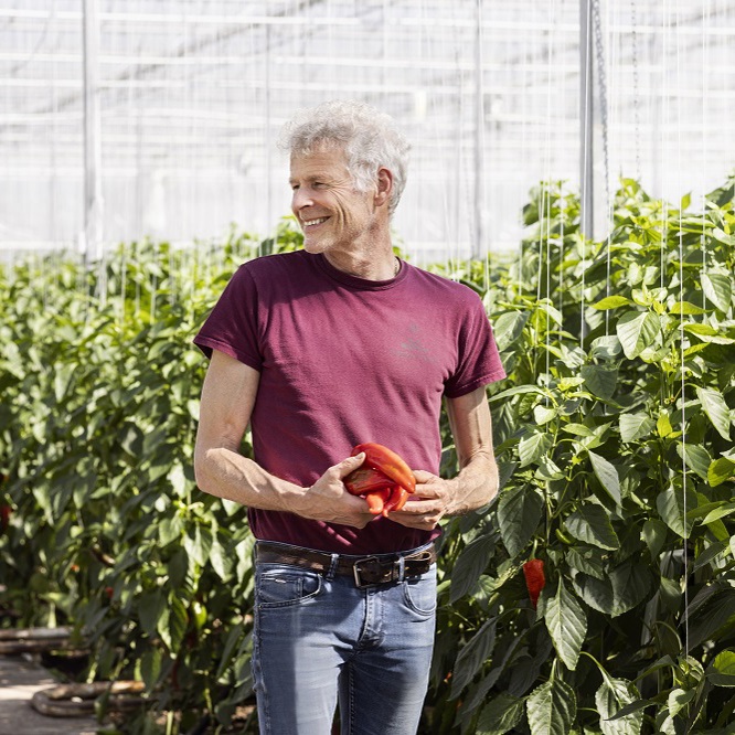 frankdekoning-puntpaprika