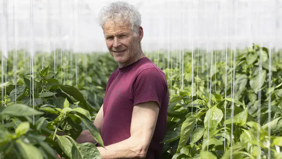 ekoplaza-biodynamisch-frankdekoning