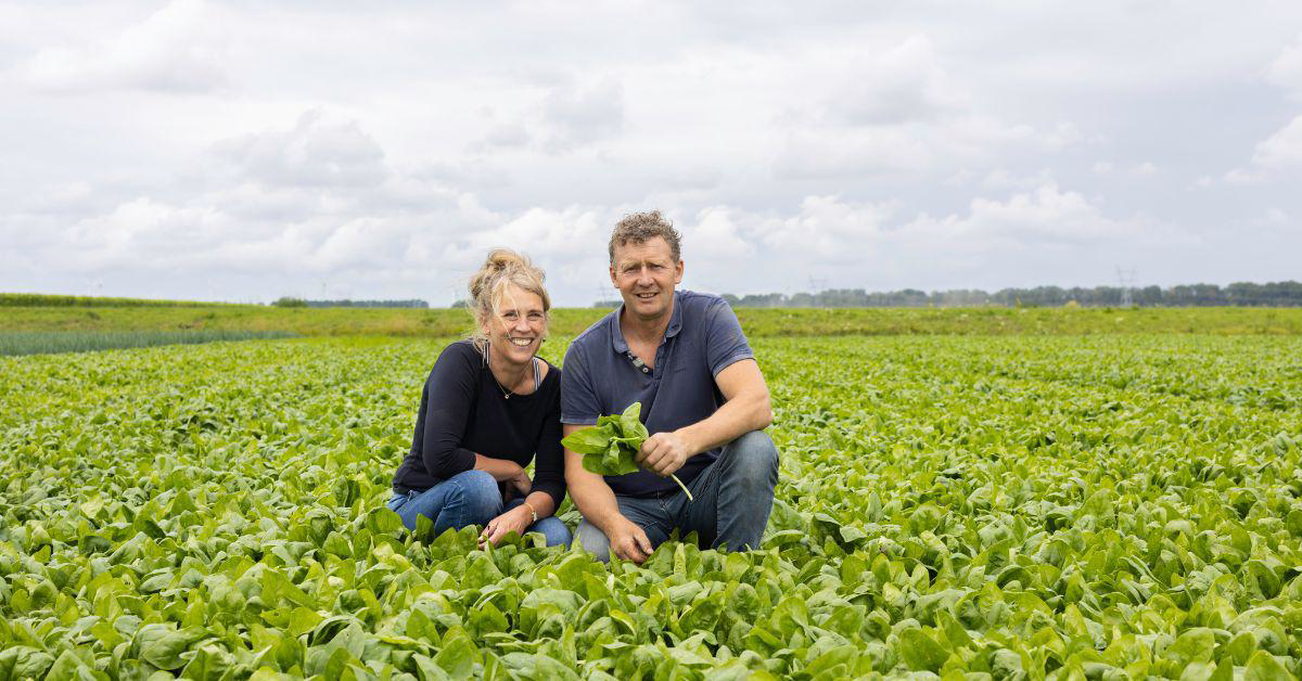 ekoplaza-biodynamisch-lunaeterra-diepvriesgroenten-zonneboog-martijnschieman-spinazie