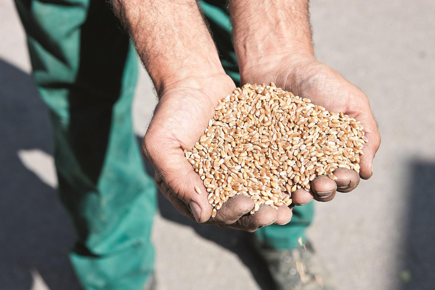 ekoplaza-biodynamisch-lunaeterra-spielbergergraan