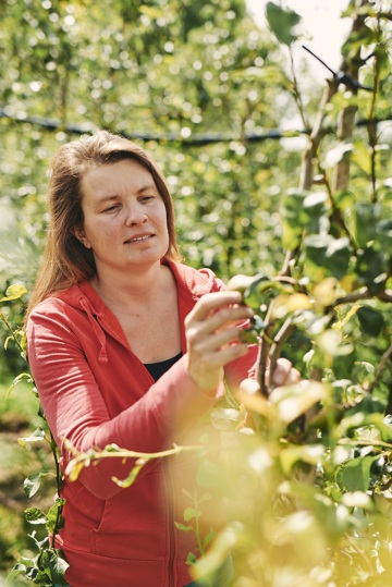 Een kijkje op de boomgaard van Maaike Bischot