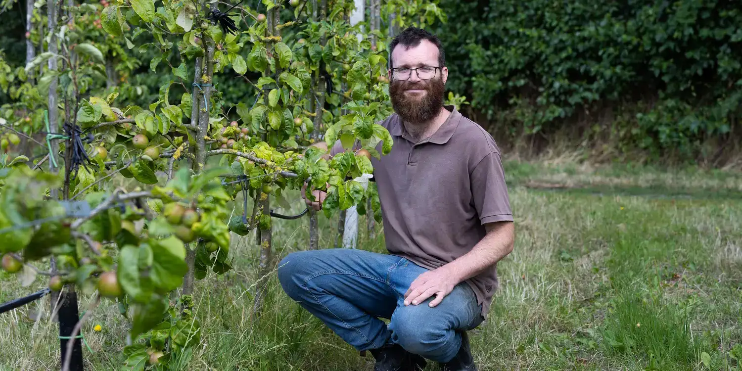 ekoplaza-biodynamisch-timmoerman-loverendaleterlinde-peren