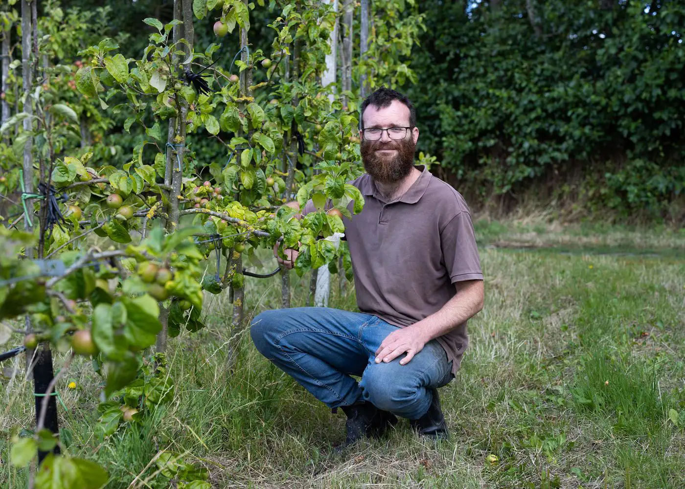 ekoplaza-biodynamisch-timmoerman-loverendaleterlinde-peren