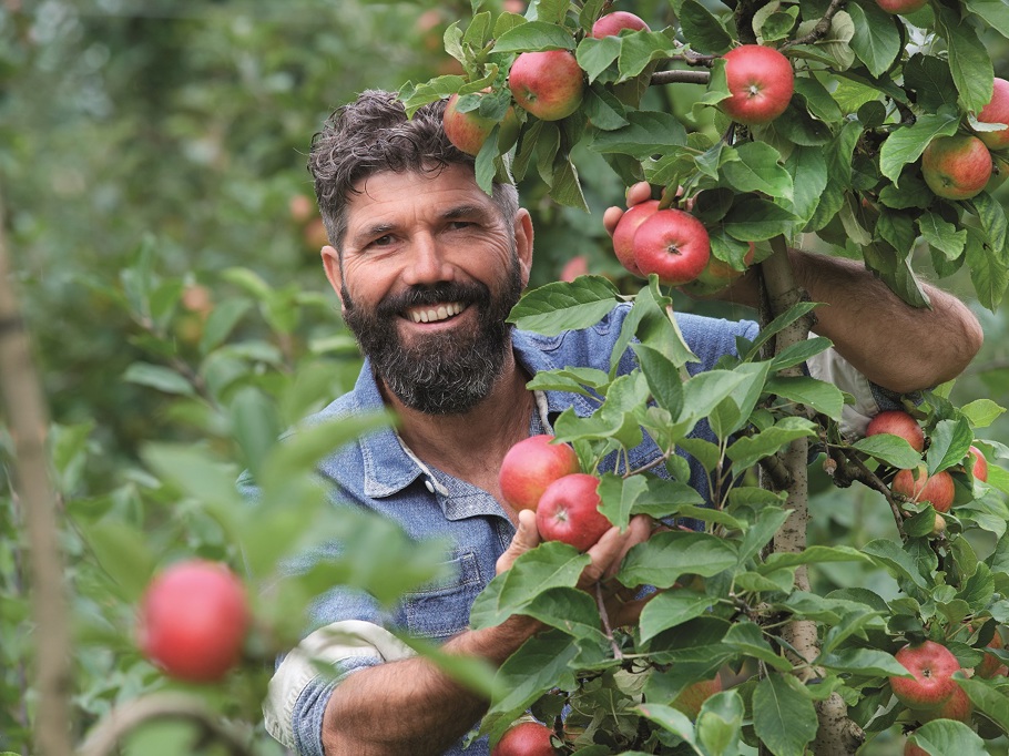 vandenelzen-harrievandenelzen-appels
