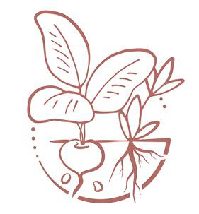 ekoplaza-biologisch-5keuzes-schoneaarde