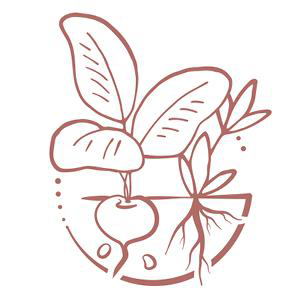 ekoplaza-biologisch-5keuzes-schoneaarde