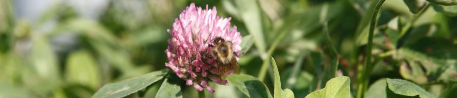 Het ecosysteem van mens en natuur