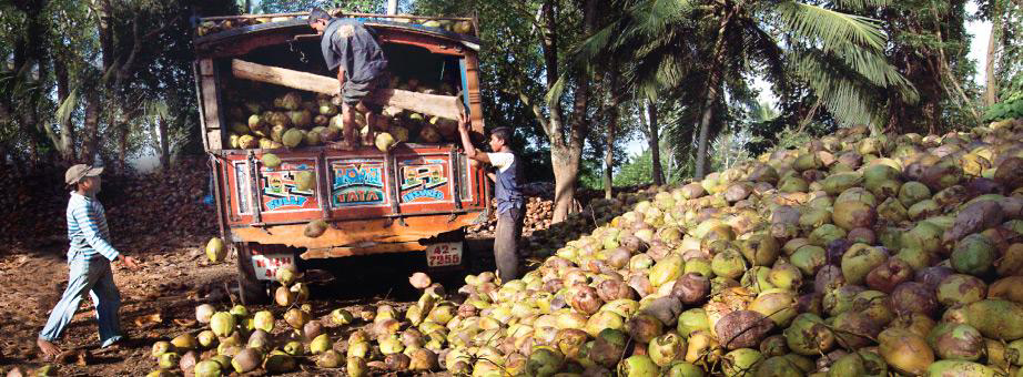 amanprana-kokosnoten