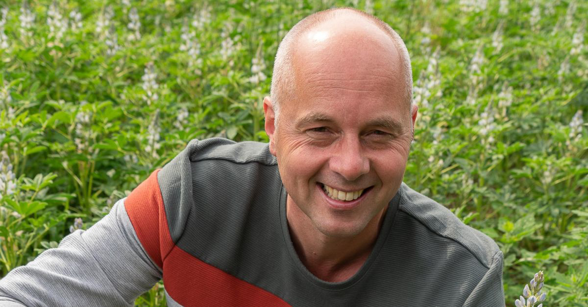 De prachtige lupines van André Jurrius