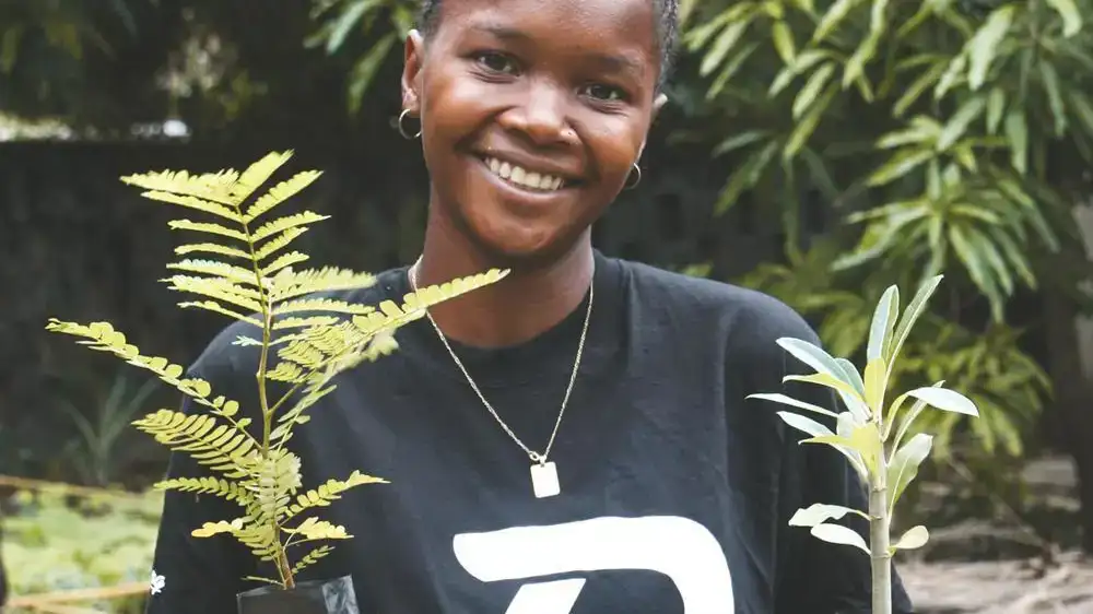 attitude-planteenboom