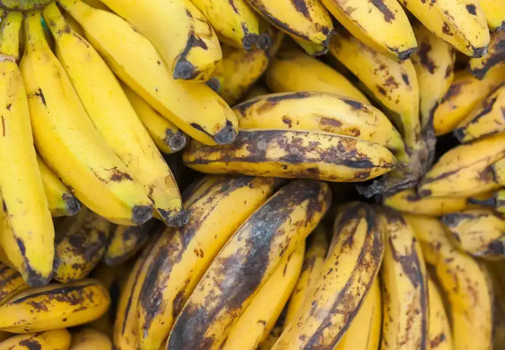 ekoplaza-biologisch-bananen