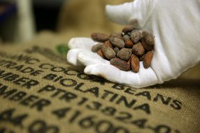 belvas-cacaobonenchocolade