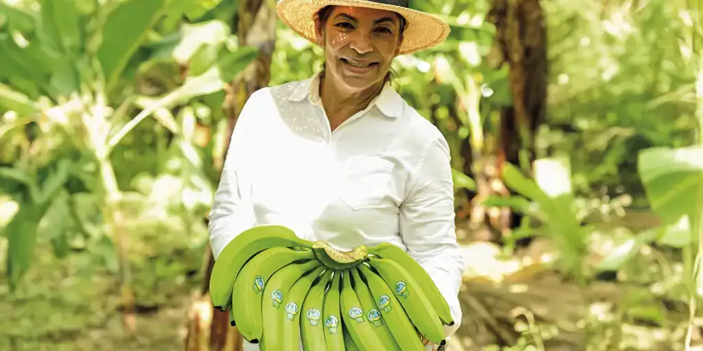 ekoplaza-biologisch-bionana-biorey-miladys-bananen