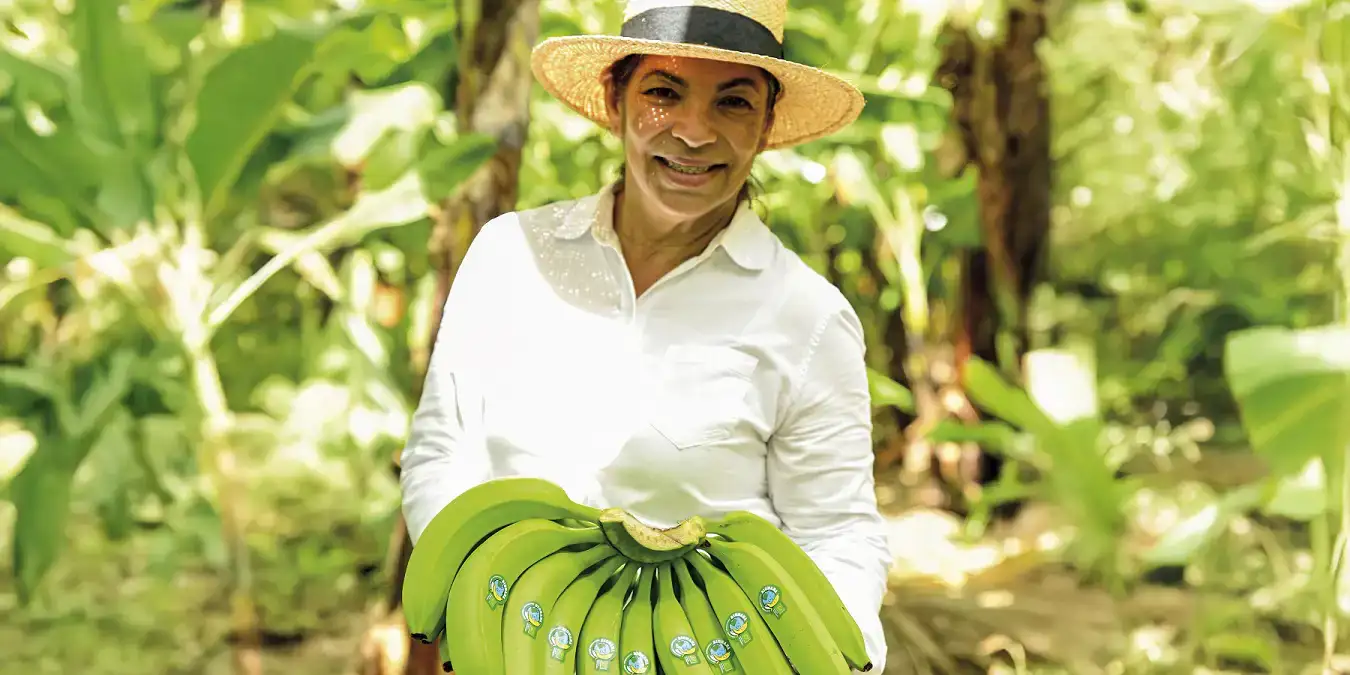 ekoplaza-biologisch-bionana-biorey-miladys-bananen