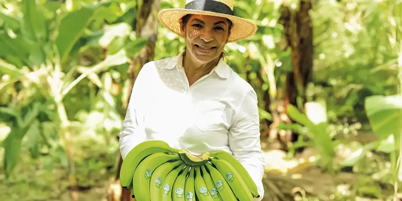 ekoplaza-biologisch-bionana-biorey-miladys-bananen