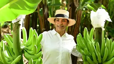 Een prachtige opbrengst voor bananenboerin Miladys