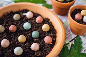 Samen vergroten we de biodiversiteit