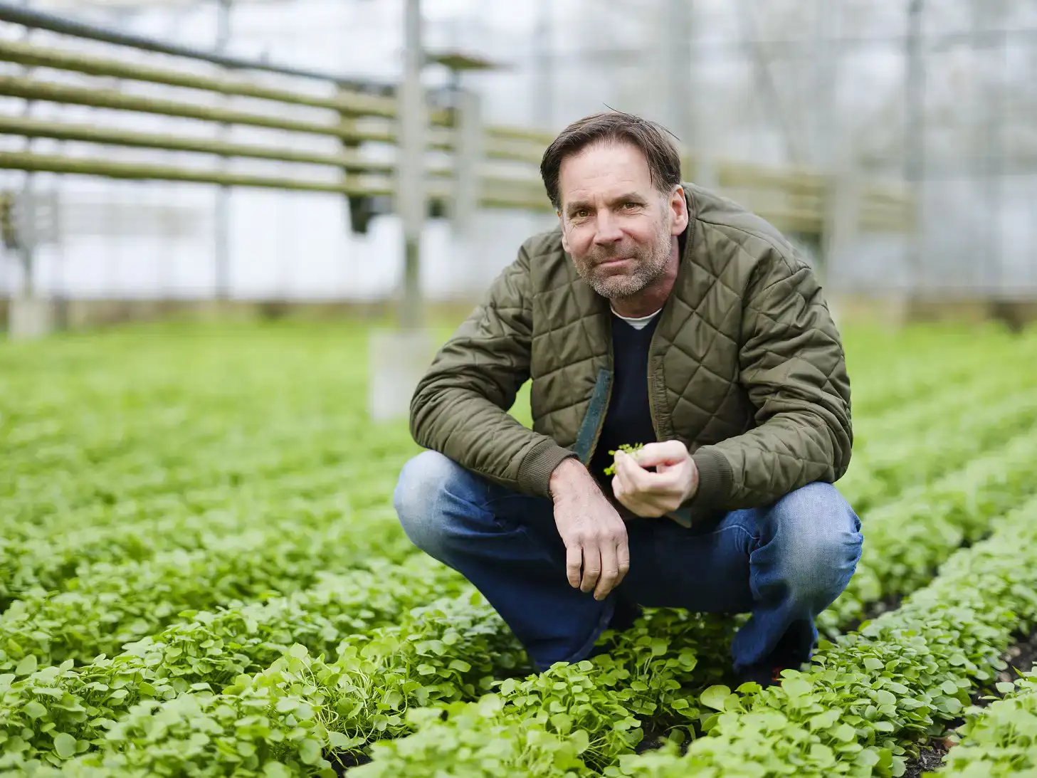 ekoplaza-biologisch-davidluijendijk-raapstelen-lekkerweten-lente2025