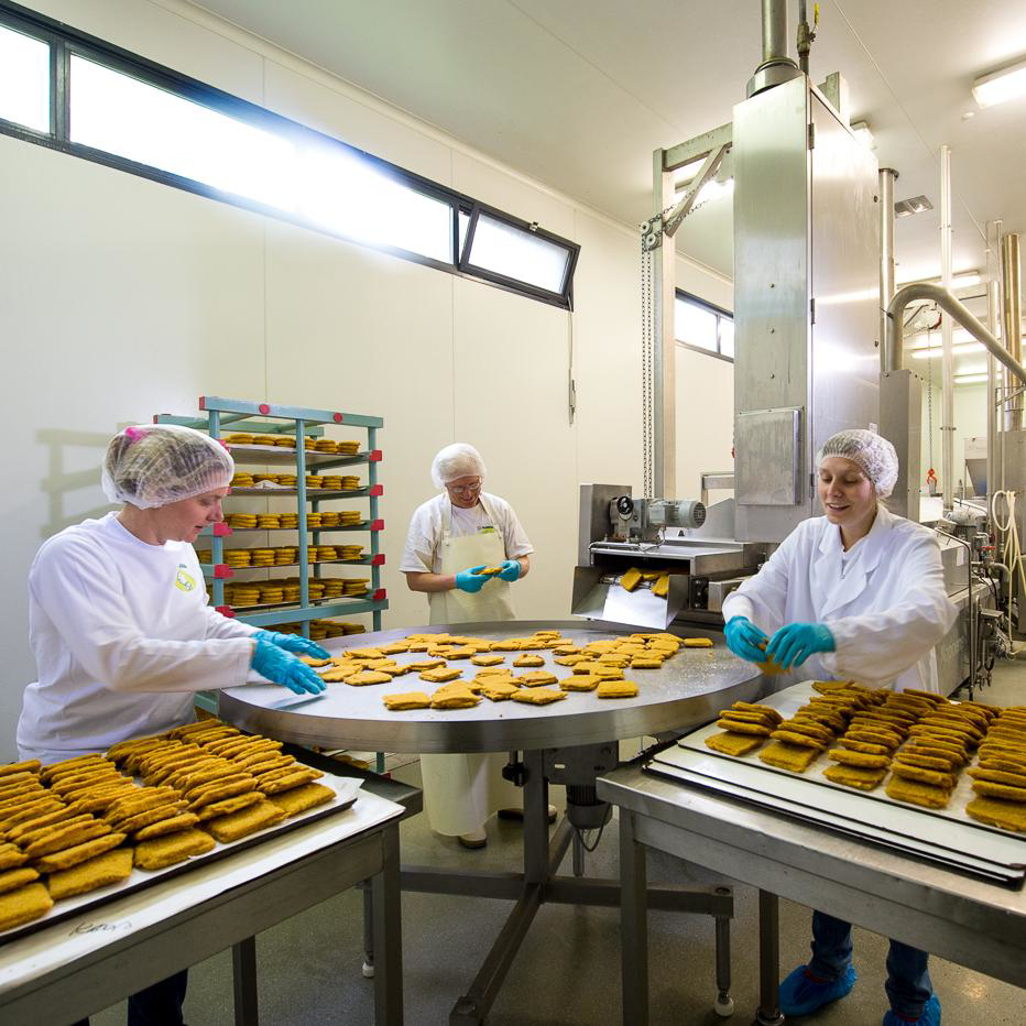 depaddestoel-fabriek