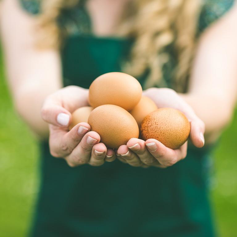 ekoplaza-biologisch-eieren
