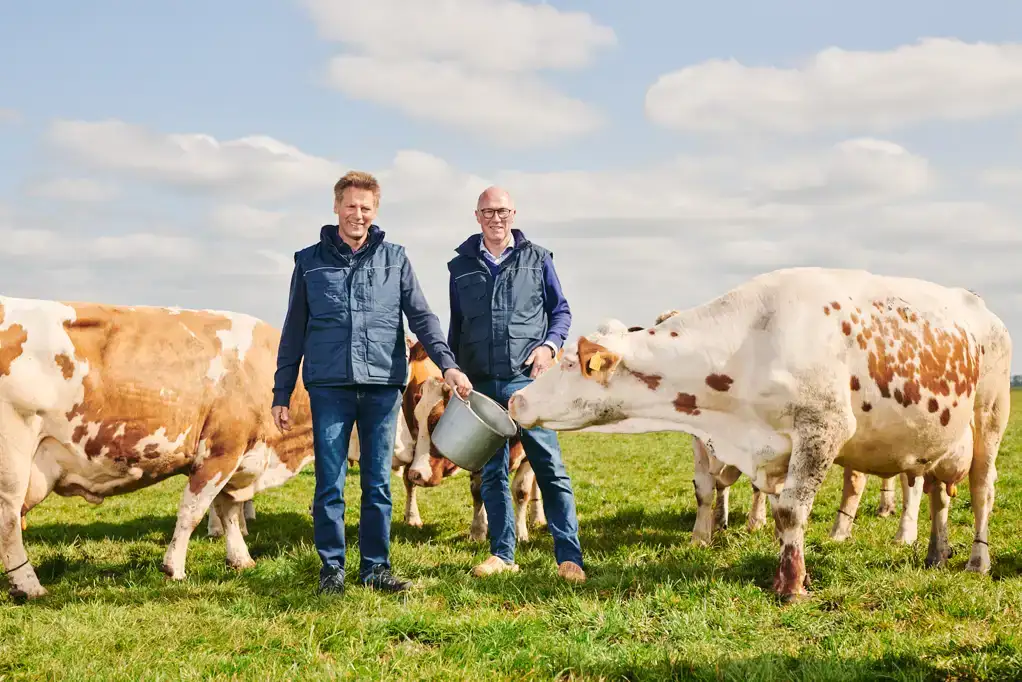 vogelvriendelijke-kaas