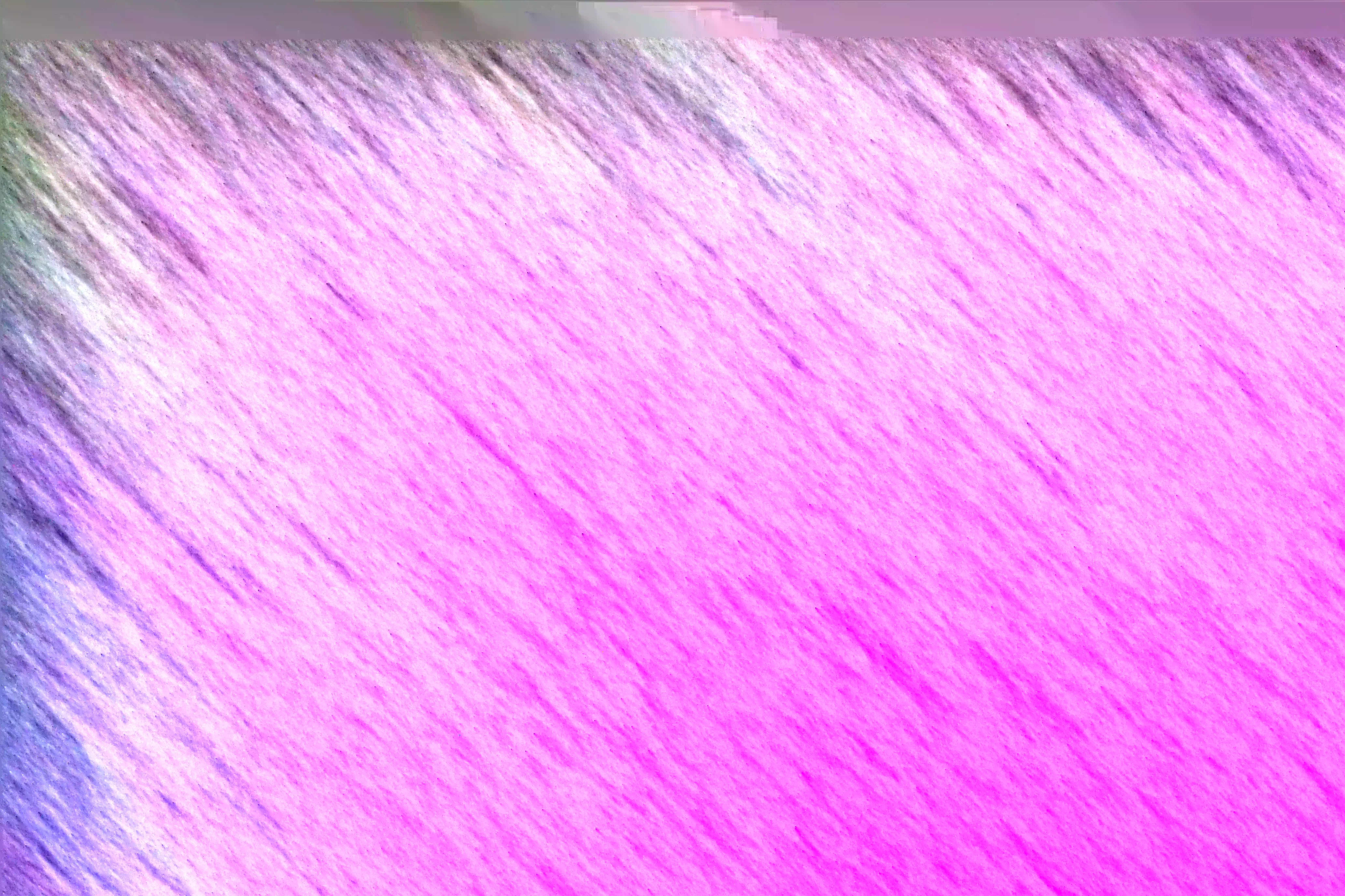 ekoplaza-kaas-boeren