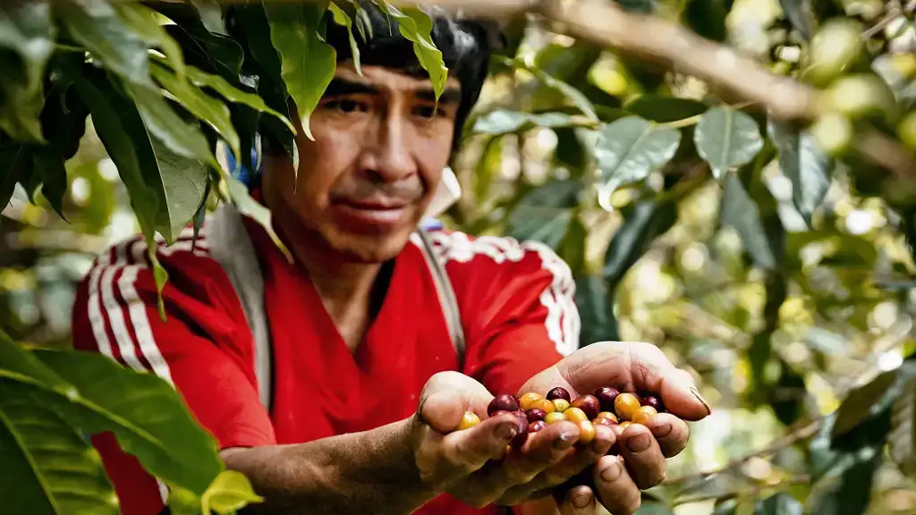 fairtrade-koffie