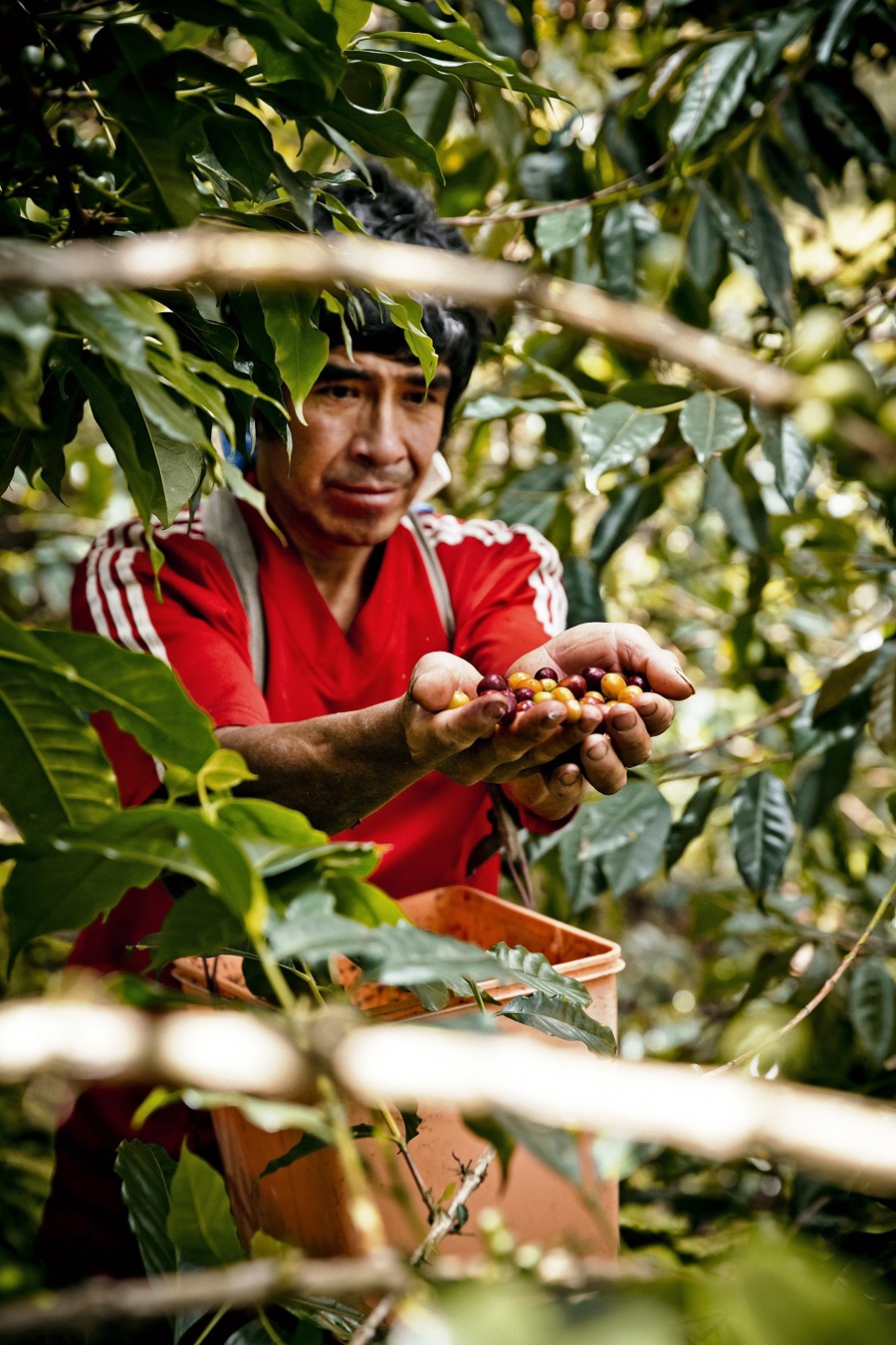 Samenwerking in de koffieketen