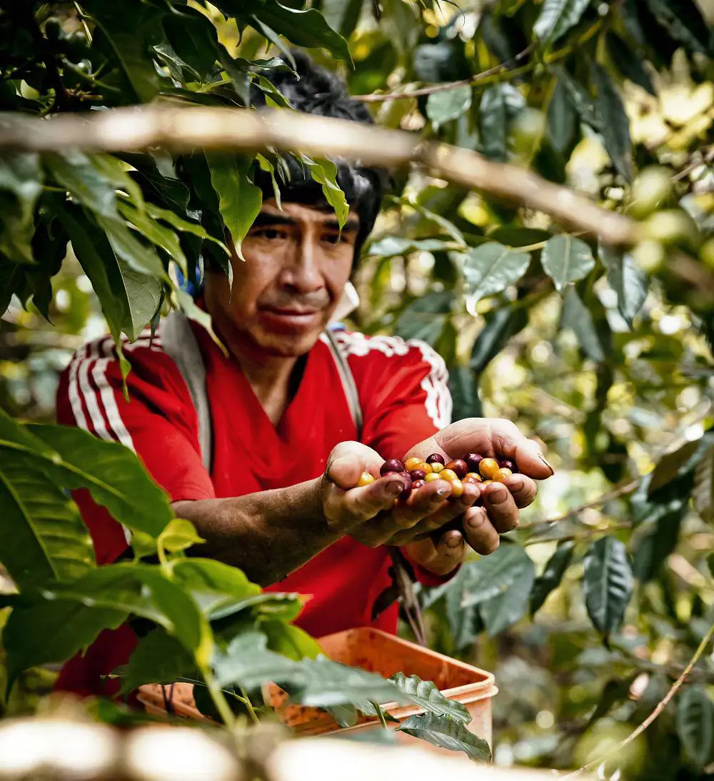 ekoplaza-biologisch-fairtrade-koffie-smal