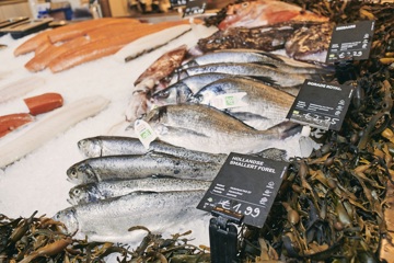Vis: zo eet je 'in het seizoen'