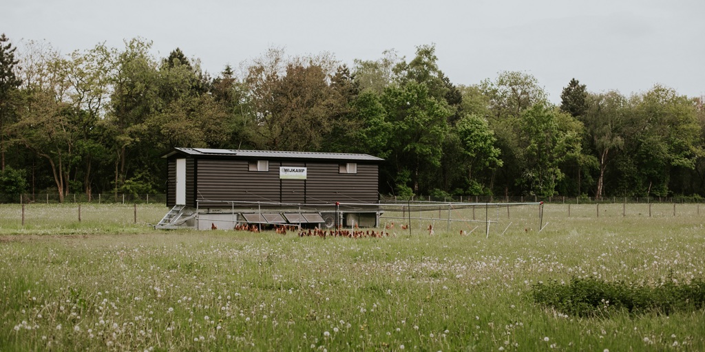 ekoplaza-biologisch-geluksvogel-mobielekippenkar-1
