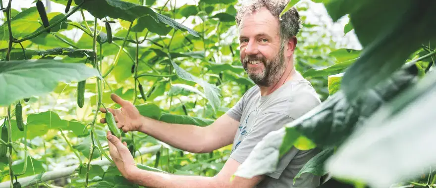 Snacken uit de biologische kas van Gert van Brakel