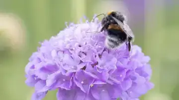 Samen voor een gezonde toekomst