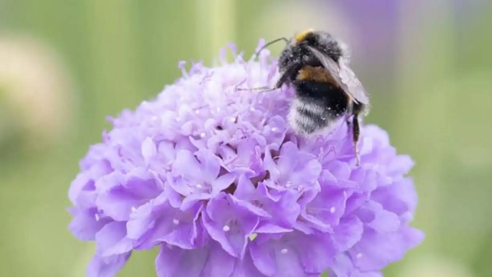 Samen voor een gezonde toekomst