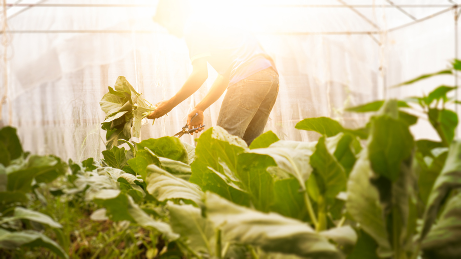 Sneak preview van interessante meetup!