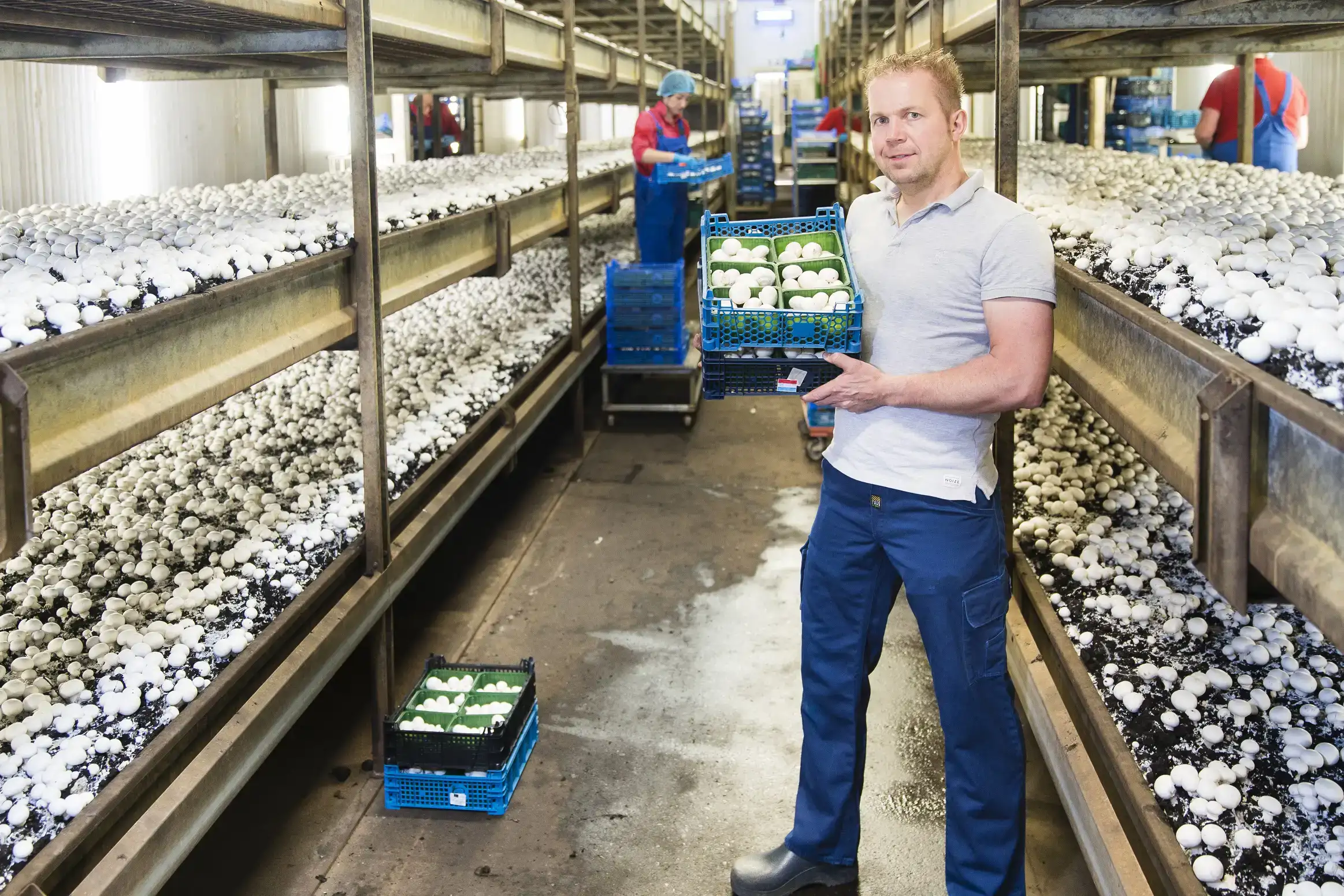 ekoplaza-biologisch-heereco-dorusjeffreyheeren-2-1