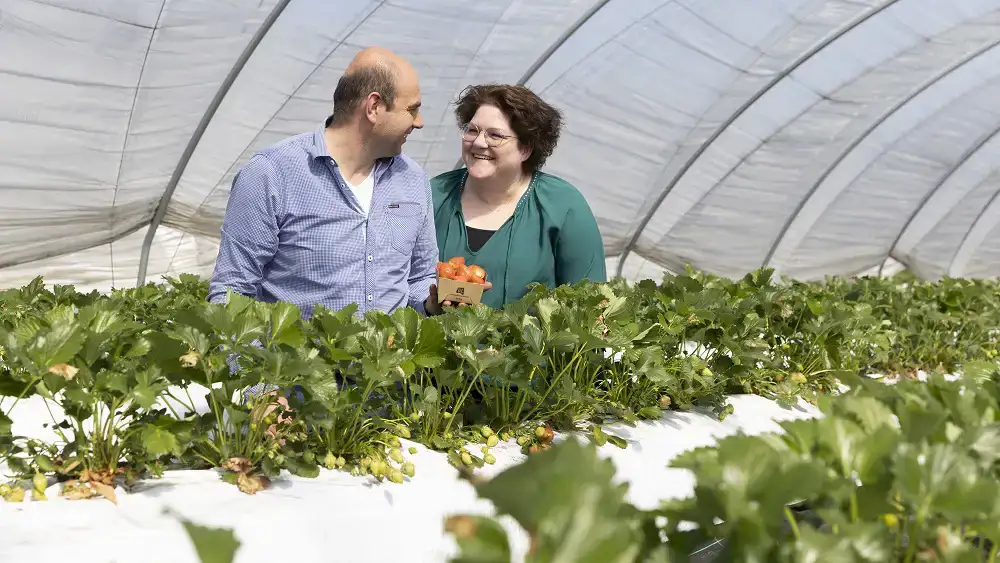 ekoplaza-biologisch-johantielen-aardbeien-spinazie-teler-boer