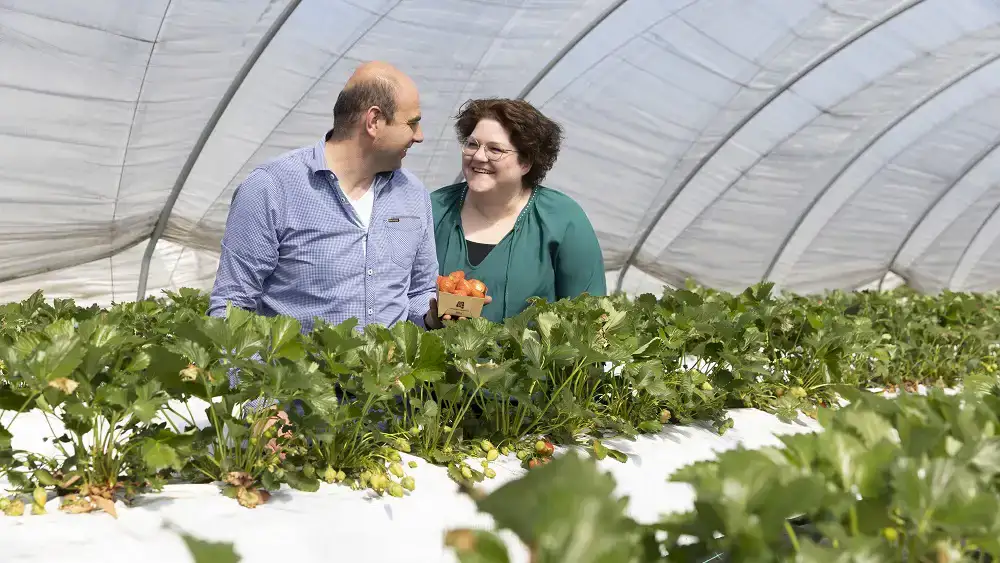 ekoplaza-biologisch-johantielen-aardbeien-spinazie-teler-boer