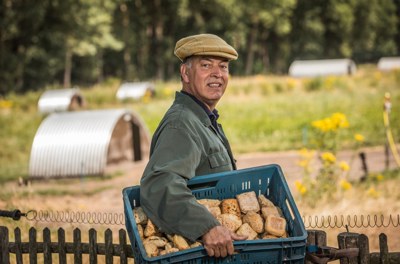 Kom naar de boerderij van Kees: een open dag vol varkensgeluk