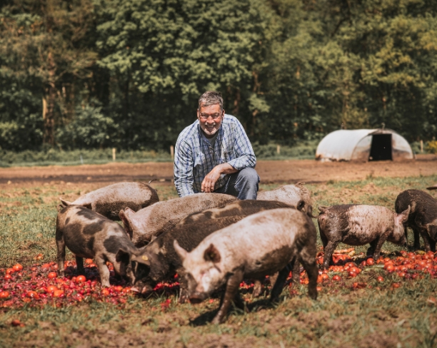ekoplaza-biologisch-keesscheepens-lekkerweten-zomer2025-varkens-reststromen