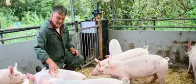 Een kijkje bij onze varkensboer Kees Scheepens