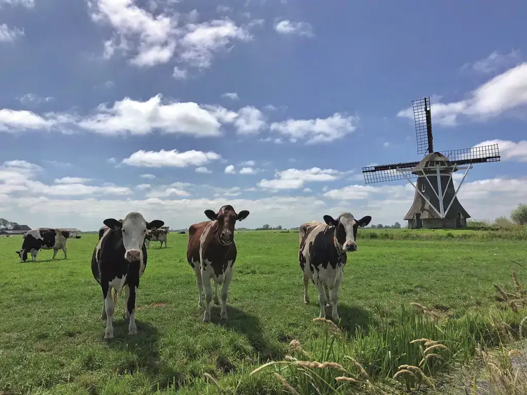 ekoplaza-biologisch-koeien-nederland-kringloop